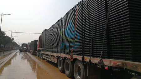微信图片_202002021510064_副本_副本.jpg
